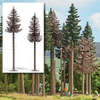 Dead Spruce Trees -- 16 & 18cm Tall pkg(2)