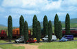 Poplar Trees pkg(10) -- Four: 3-13/16"  9.5cm; Six: 3"  7.5cm Tall