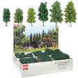Deciduous Trees Bulk Pack -- Mixed Poplars & Birches 4-1/2 - 5-7/8"  11.5 & 15cm Tall pkg(36)