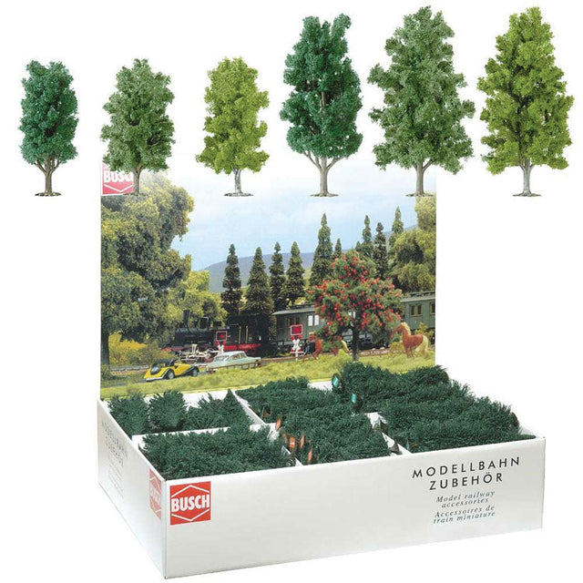 Deciduous Trees Bulk Pack -- Mixed Poplars & Birches 4-1/2 - 5-7/8"  11.5 & 15cm Tall pkg(36)