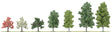 Assorted Small Trees in Point-of-Purchase Display - 45 Trees Total -- 8 Each White & Pink Blossom, 12 Apple, 9 Booking, 8 Birches - Tallest 5-7/8"-1