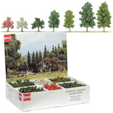 Assorted Small Trees in Point-of-Purchase Display - 45 Trees Total -- 8 Each White & Pink Blossom, 12 Apple, 9 Booking, 8 Birches - Tallest 5-7/8"-2