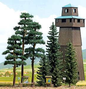 Spruce & Pine Forest Scene
