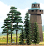 Spruce & Pine Forest Scene