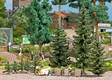 Spruce Tree Forest Set -- 8 Trees, Wood Pile & Timbers