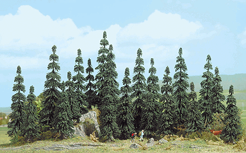 Trees -- Serbian Spruces