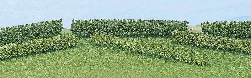 Half-Round Hedges -- pkg(6)