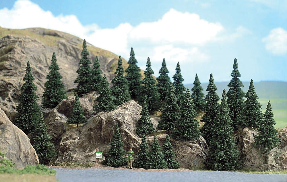 Trees-Conifers -- Silver Fir 1-5/8 - 3-5/8" 4-9cm
