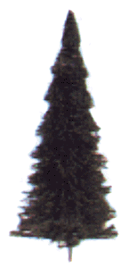 Pine Trees -- 3 Each: 2-1/2, 3 & 3-1/2"  6, 7.5 & 9cm; 2 Each: 2, 4-1/2 & 5-1/2"  5,11,1