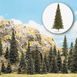 Pine Trees -- pkg(30)