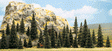 Pine Trees -- 12 Ea. 2-1/2, 3 & 3-1/2"  6, 8 & 9cm; 8 Ea. 2, 4-1/2 & 5-1/2"  5, 11, & 14