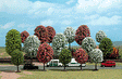 Trees -- Spring Foliage - 2-13/16" 7cm to 5" 12.5cm Tall