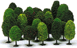 Deciduous Trees -- Assortment pkg(25)