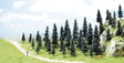 Spruce Tree Assortment -- 2 to 4-5/16"  5 to 11cm pkg(35)