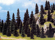 Pine Tree Assortment -- 2-3/8 to 4-11/32"  6 to 11cm pkg(50)