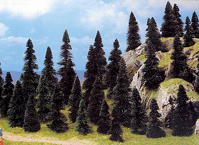 Pine Tree Assortment -- 2-3/8 to 4-11/32"  6 to 11cm pkg(50)