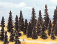 Pine Tree Assortment -- 2-3/8 to 4-11/32"  6 to 11cm pkg(100)
