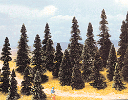 Pine Tree Assortment -- 2-3/8 to 4-11/32"  6 to 11cm pkg(100)