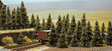 Pine Trees -- 1-3/16 to 2-3/8"  3 to 6cm pkg(60)