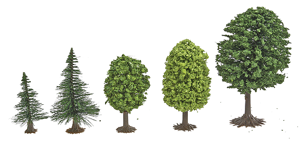 Mixed Forest Trees pkg(50) -- 1-3/16 to 2-3/8"  3 to 6cm