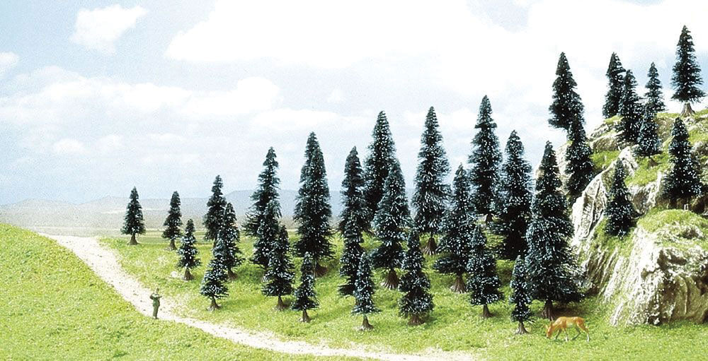 Spruce Trees -- 30-50mm