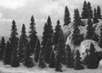 Pine Trees -- 1-3/16 - 2"  3 - 5cm Tall pkg(50)-1