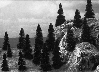 Pine Trees -- 1-3/16 to 2"  3 to 5cm Tall pkg(20)-1