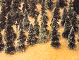 Pine Trees -- 1-3/16 - 2"   3 - 5.1cm