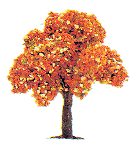 Trees Deciduous -- Blooming 1-3/4" 4.5cm Tall