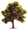 Trees Deciduous -- Fruit 1-3/4" 4.5cm Tall