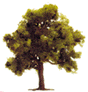 Trees Deciduous -- Fruit 1-3/4" 4.5cm Tall