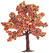Deciduous Trees -- Blooming 3"  75mm pkg(2)
