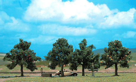 Deciduous Trees -- 1 Each Apple & Plum