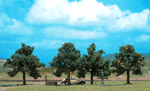 Deciduous Trees -- 1 Each Apple & Plum