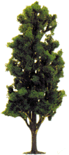 Deciduous Trees -- Poplar 2-3/4" 7cm Tall