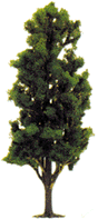 Deciduous Trees -- Poplar 2-3/4" 7cm Tall