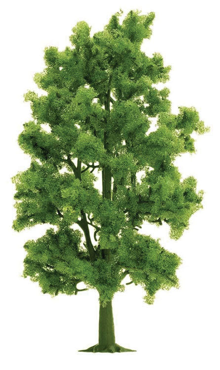 Deciduous Trees -- Beech 8-13/32" 21cm Tall