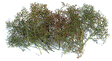 Natural Armature Tree & Bush Kit -- Enough Material for 15 to 30 Trees/Bushes-1