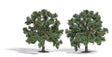 Chestnut Trees -- 3-3/4"  9.5cm Tall pkg(2)