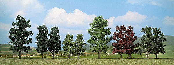 Beech Trees  Pkg (3) -- 50mm