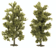 Beech Trees  Pkg (2) -- 90mm