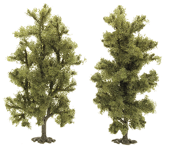 Beech Trees  Pkg (2) -- 90mm