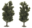 Trees -- Poplar Tree - 115mm - Package of 2
