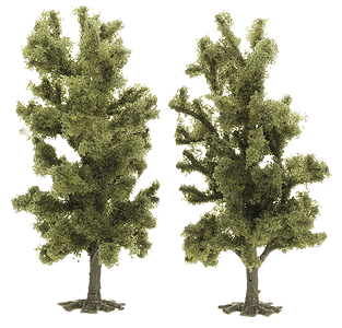 Beech Trees  pkg (2) -- 115mm