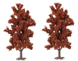 Red Beech Trees  pkg(2) -- 5-7/8"  15cm