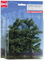 Beech Trees  pkg (2) -- 150mm