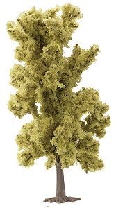 Ash Tree -- 180mm