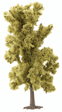 Ash Tree -- 180mm