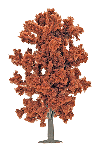 Red Beech Tree -- 180mm