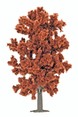 Red Beech Tree -- 180mm